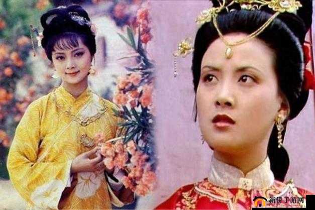 王熙凤与贾宝玉轿中大战：是意外还是预谋？