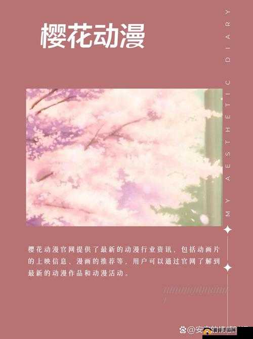 樱花动漫官网怎么进：详细教程
