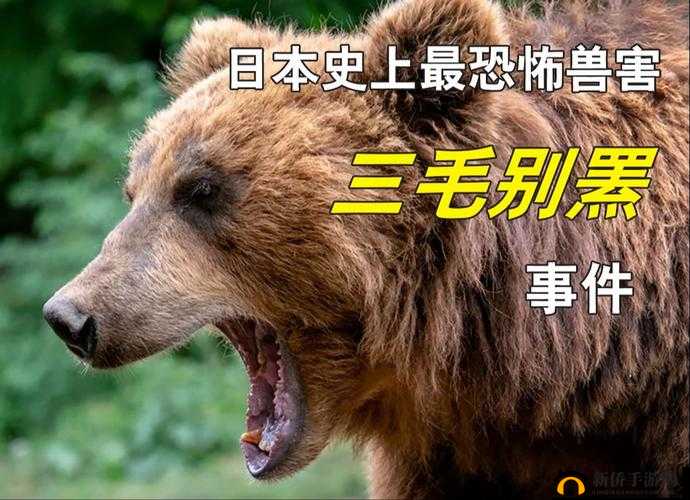 ZOOMSERVO 兽被爆料日本频道全完全免费：付费内容免费看？