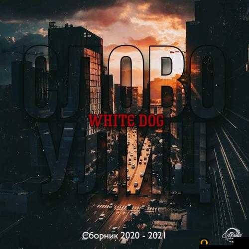 ZOOMDOG2021：相关介绍