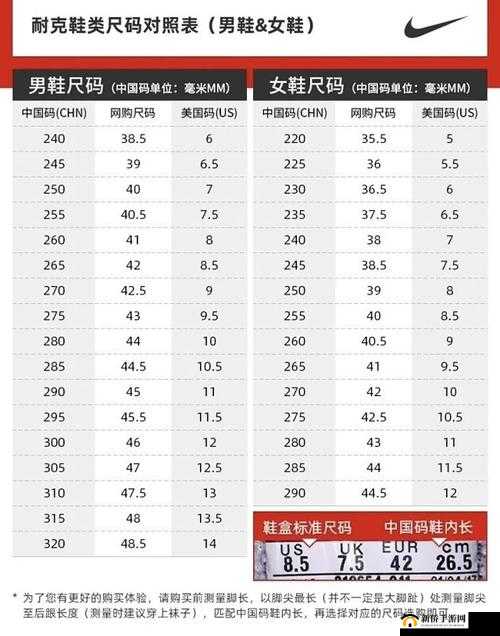 Zoom 与动物 Zoom 合作项目：开启奇妙探索之旅