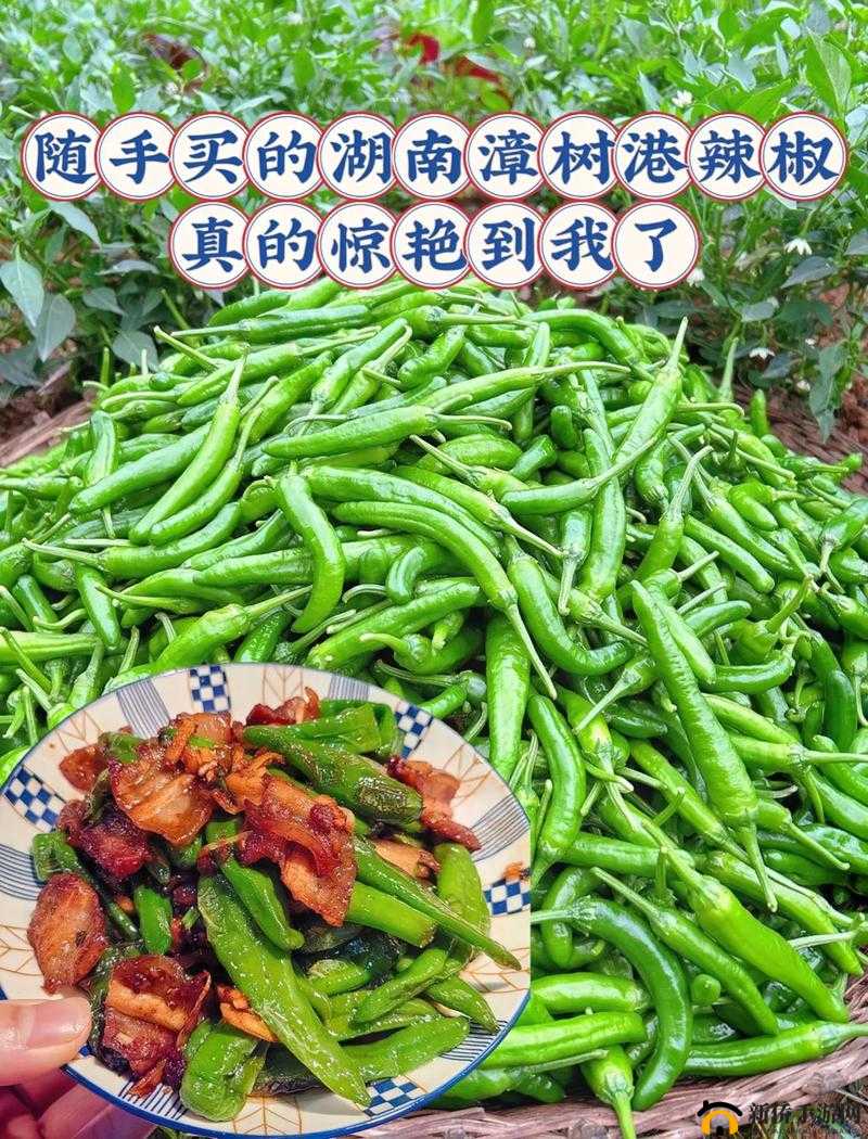 大香区煮伊区 2024 小辣椒：美味与激情的完美融合