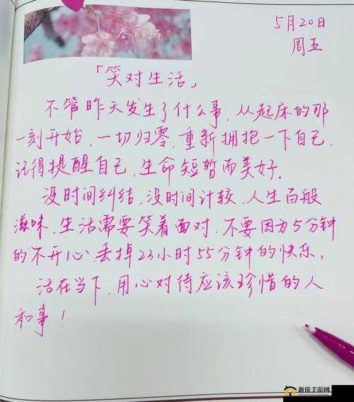 及时行乐 HPO：享受当下，拥抱快乐