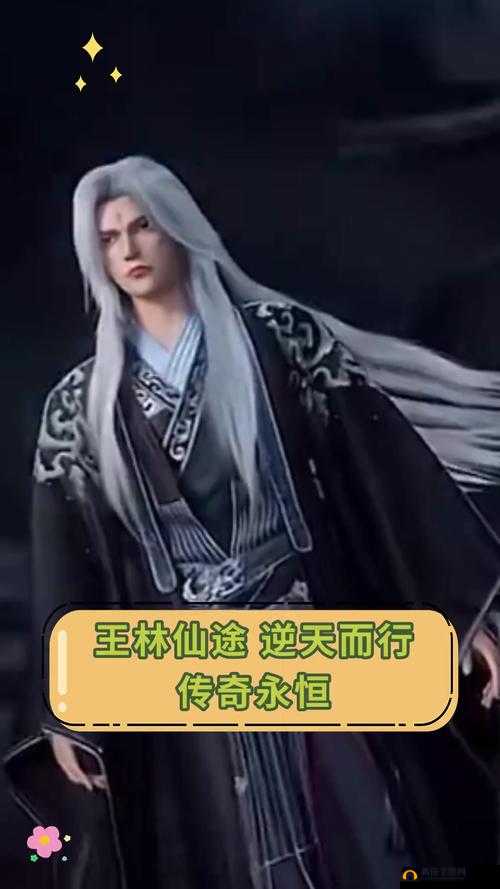 《永恒仙途图4》通关攻略：轻松跨越难关