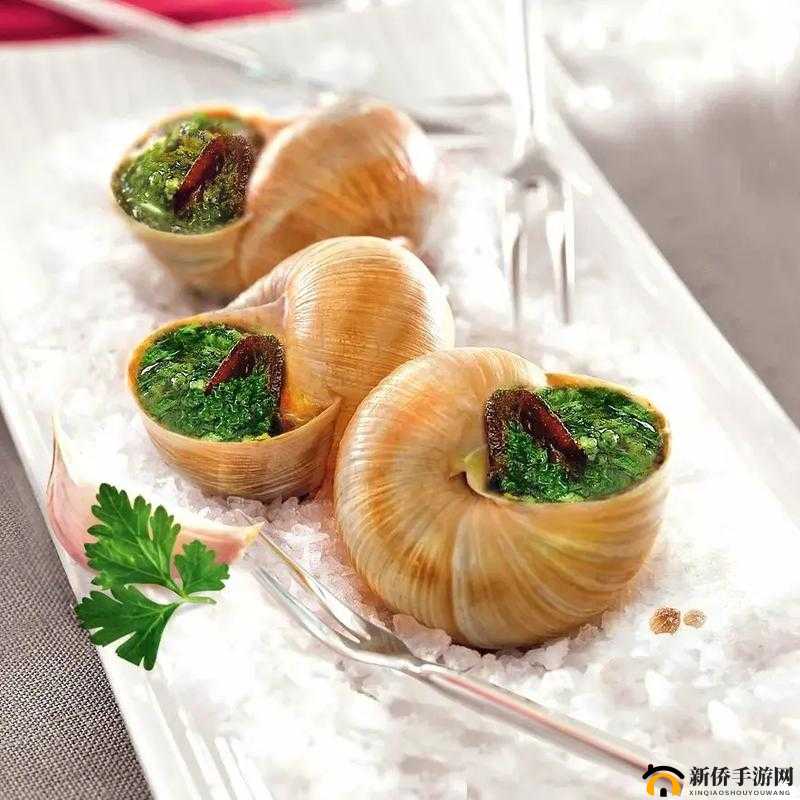 《法式蜗牛心仪美食：提升飨灵好感度的秘密食谱》