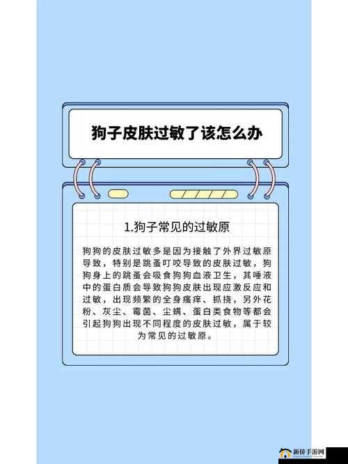 被自己家狗上瘾了怎么办：求助