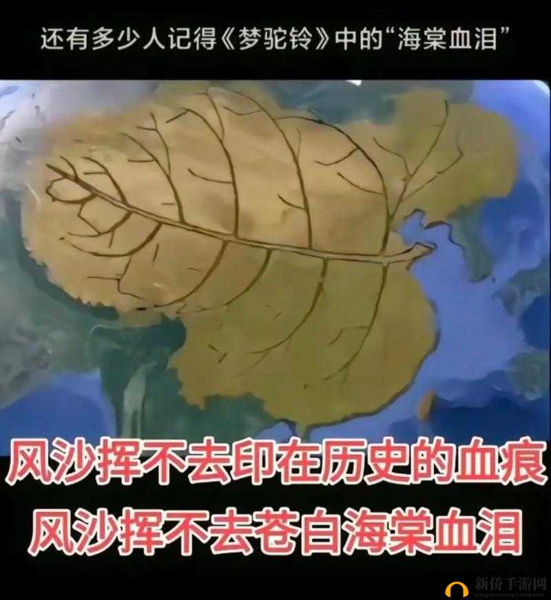 海棠怎么突然进不去了？原因何在