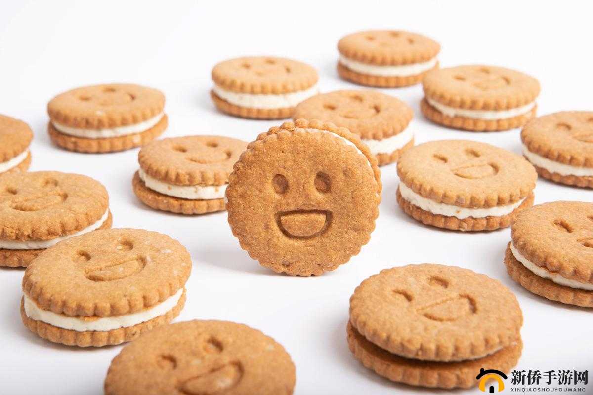 两根前后夹心饼干：美味与独特的融合