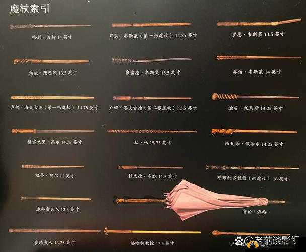 哈利波特的魔法武器：除你武器强度解析与使用指南