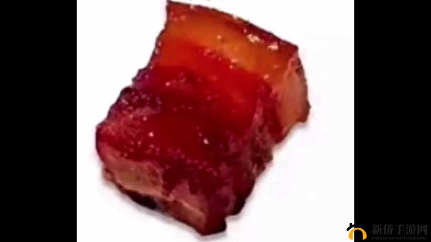 付先生 1VLH 一块五花肉的独特美味