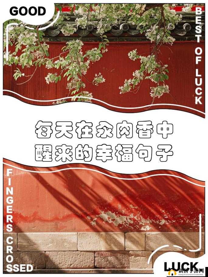 在汆肉中醒来：肉香四溢的梦境