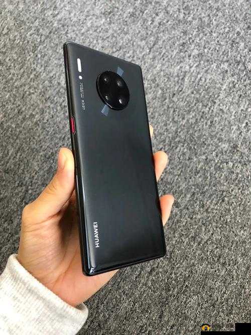 欧美无 mate30pro 巨：华为之外的选择