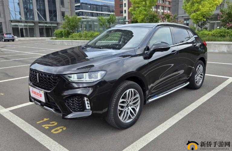 weyvv5 国产的 suv 视频：展现其魅力