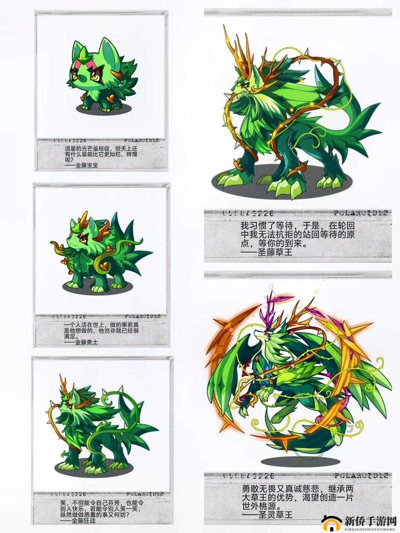 洛克王国刷绝版宠物：神奇的冒险之旅