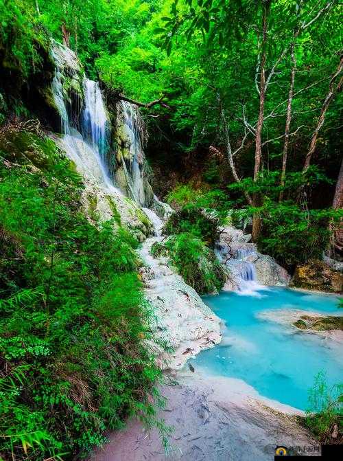 黄龙风景区溪水潺潺的秘密：探究其成因