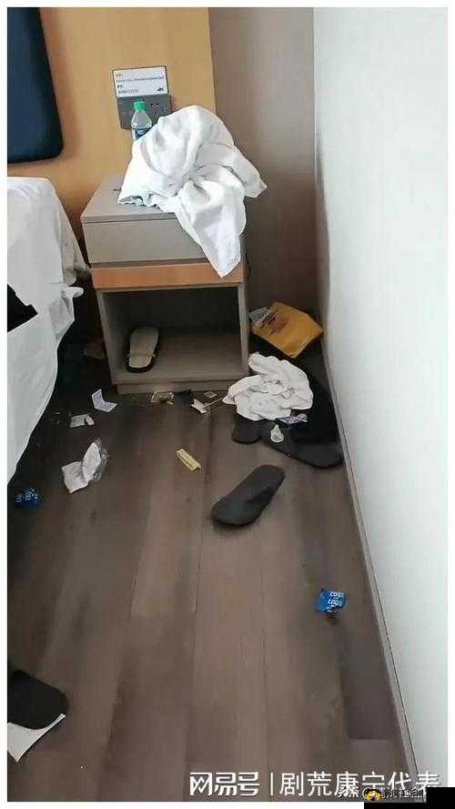 重金雇佣保洁阿姨进入大学：背后原因引关注
