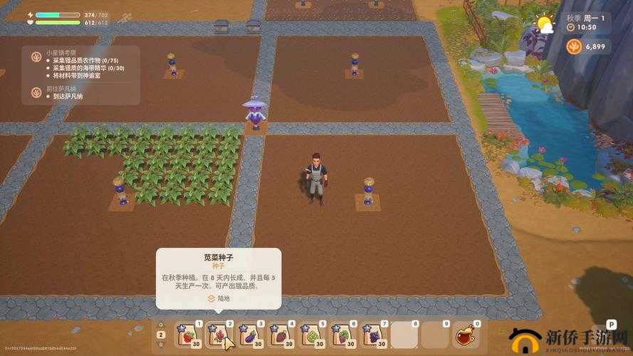 珊瑚岛秋天种植指南：揭秘不宜种植的作物名单