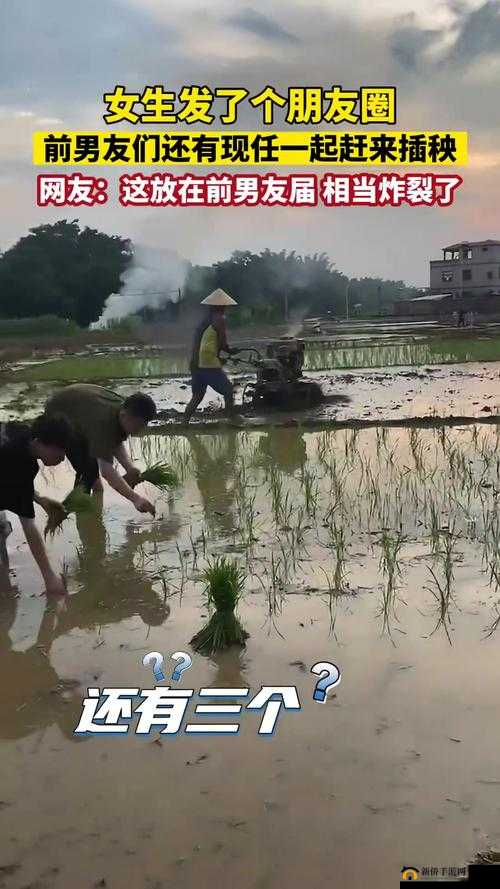 男友说想插秧了怎么回复：女生的巧妙回应