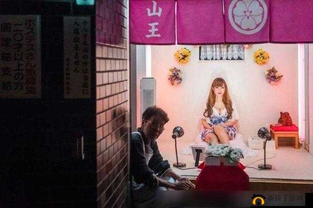 亚洲黄色怡春院：日本红灯区的神秘面纱