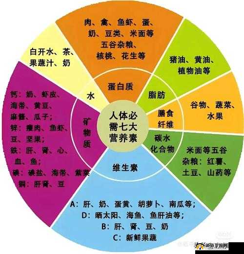 军旅肉质 1v2 的营养价值解析