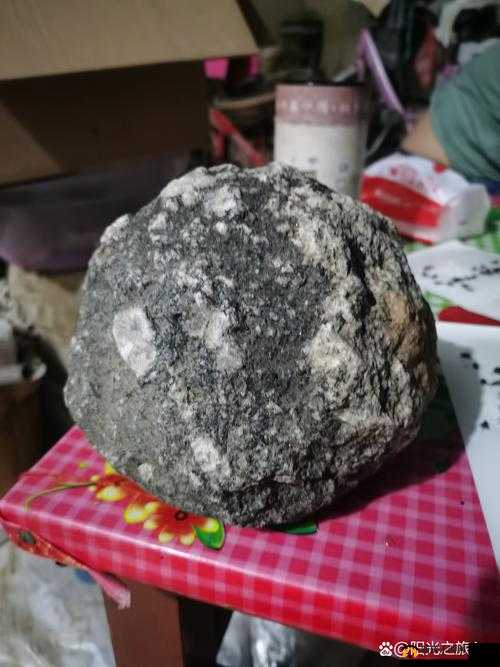 珊瑚岛陨石装修卡能否保障？探究陨石因装修引发的危机解疑