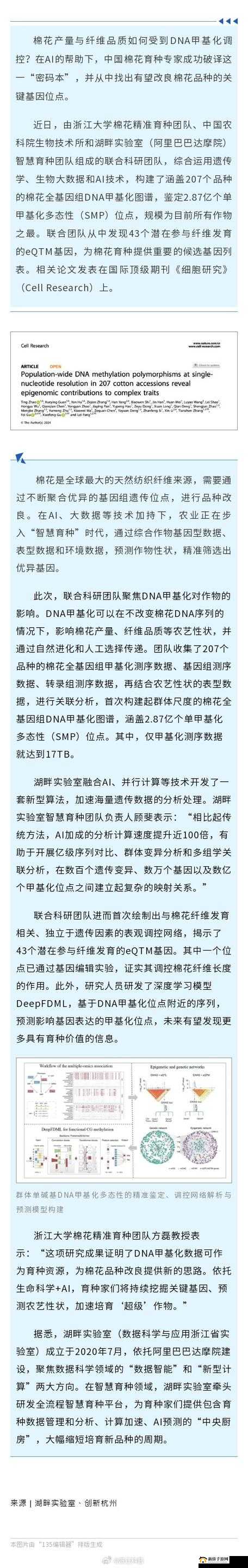 无人区一码二码乱码区别在哪：解析、科普