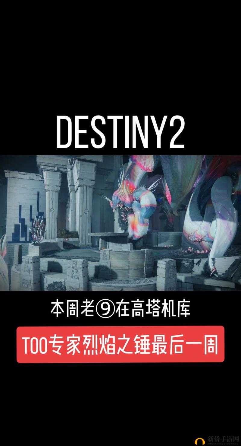 《命运2》国王的陨落第关攻略：通关技巧与难点解析