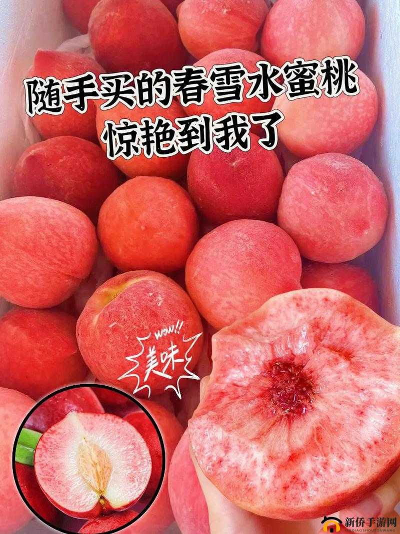 蜜桃视频一区二区三区四区 a v：精彩不断，让你欲罢不能