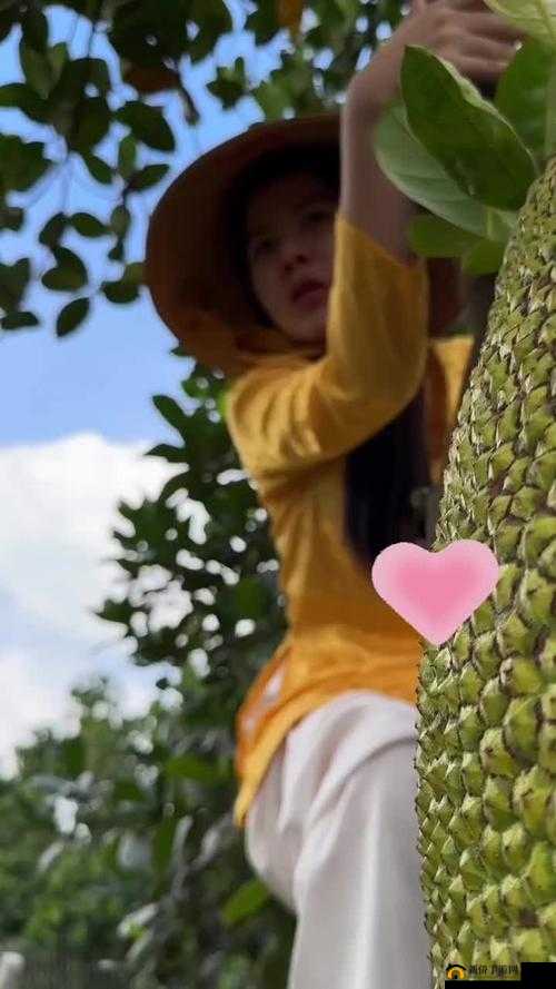 蜜菠萝影院：精彩影片不断呈现