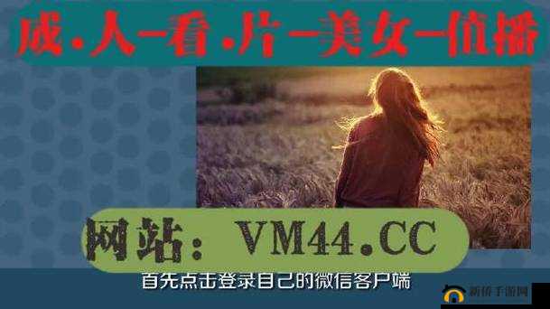 100 种禁用的视频软件免费大全：你必须知道的真相