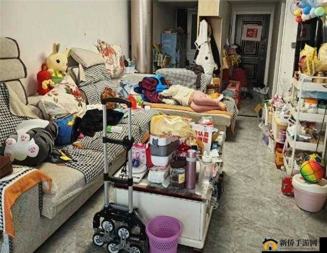 全家大杂乱：急需整理的状态