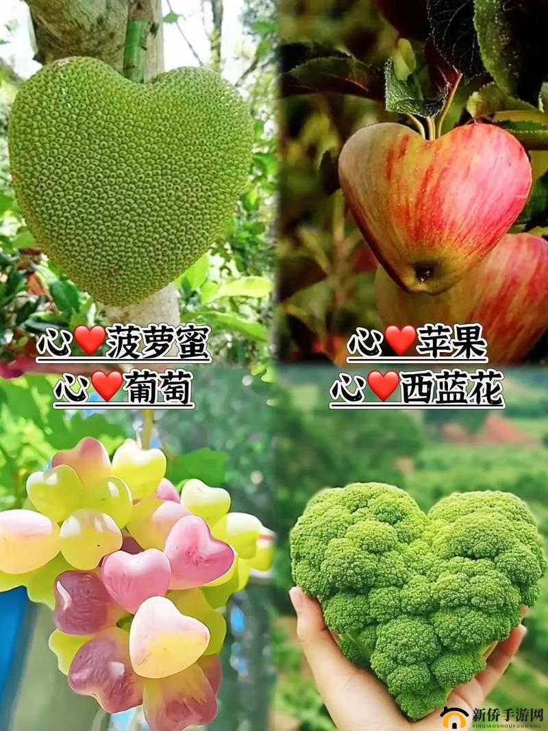 草莓直播间：甜蜜水果与趣味互动的乐园