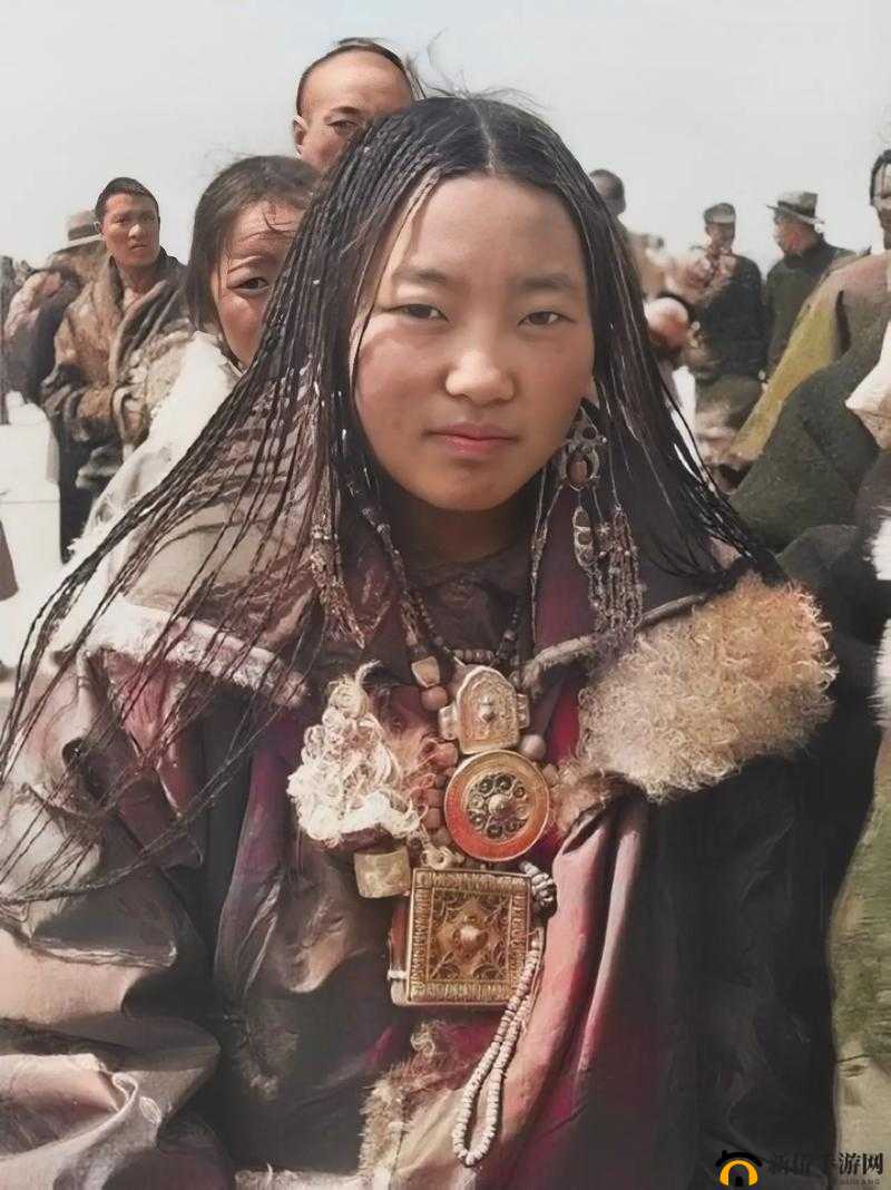 藏民的 B 和汉民一样吗：探究其差异与共性