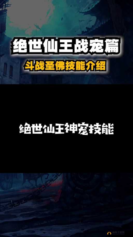 剑魂之刃宠物系统高玩心得全面解析