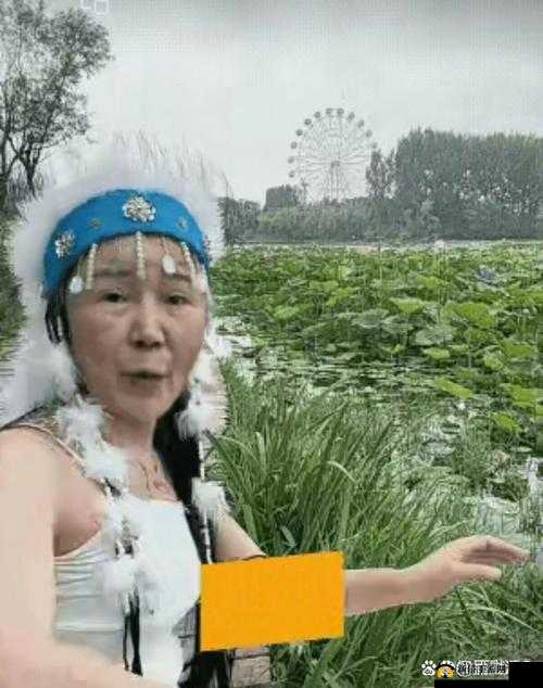 老太婆大 BBBBBBBBBB 的奇特经历
