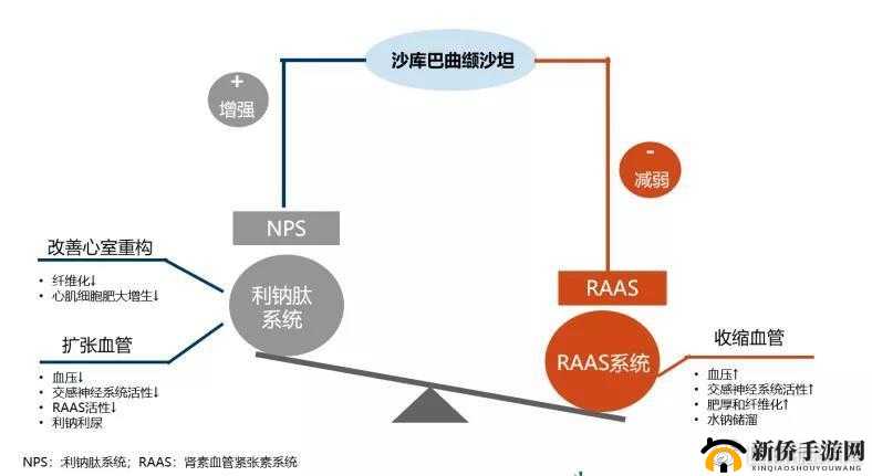 轮换 2：一种独特的机制