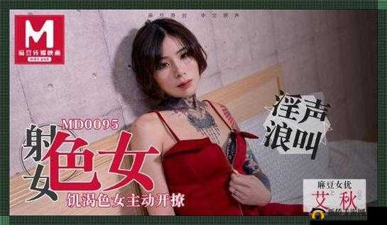 艾秋麻将馆的处罚 md0006：相关情况说明
