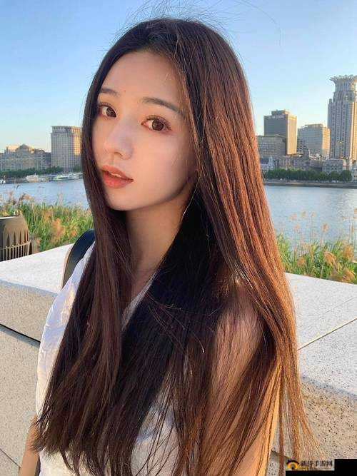 久久久久免费视频：畅享无限制的精彩