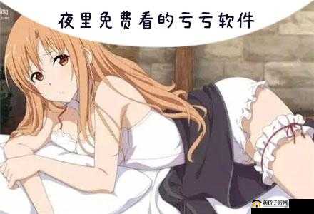 不要钱看亏亏的软件漫画：带你探索成人世界的精彩