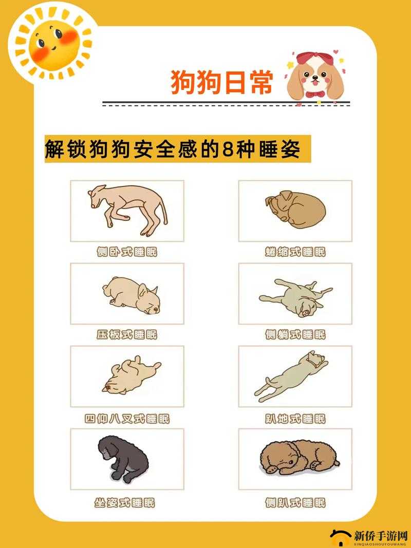 《大主宰土豆版》新手攻略：快速掌握多种姿势解锁技巧