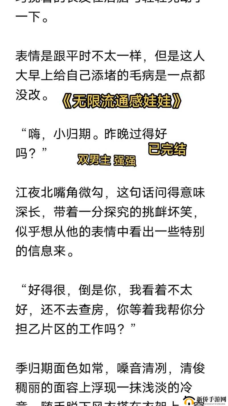 通感玩具设定双男主：奇幻冒险之旅