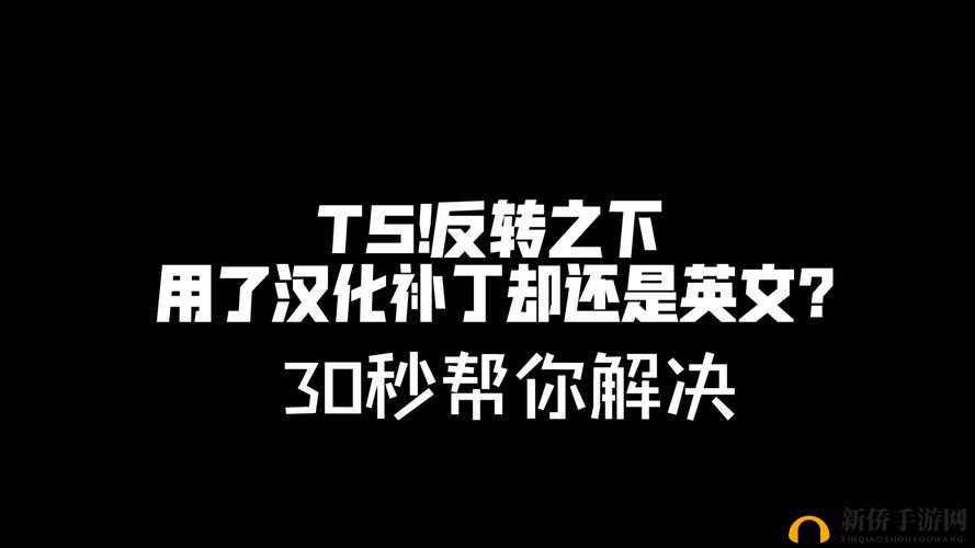 解决迷你金属汉化后英文问题的方法