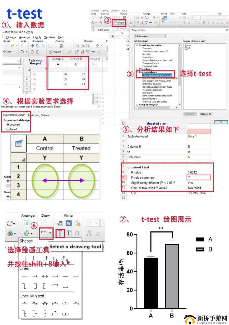 麻豆一二三产区区别：特点与差异分析