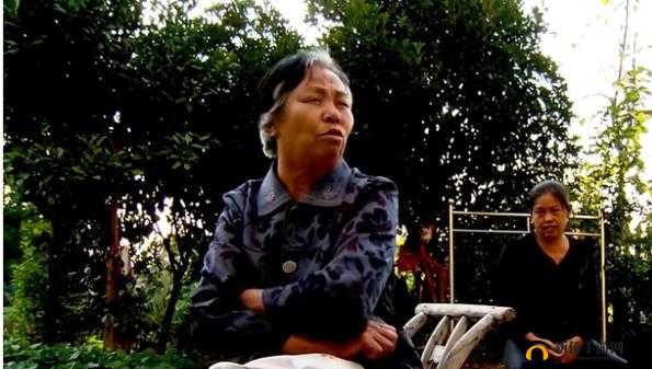中国老太太逼逼：背后的故事