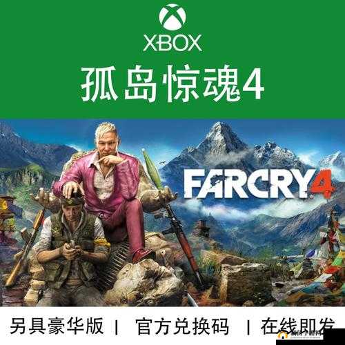 孤岛惊魂 4 PC 版双击无反应咋解决