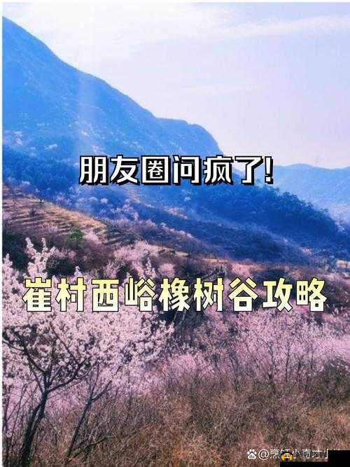 好料集中营：精彩内容等你来发现