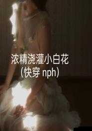 浓精浇灌小白花：普通版对比