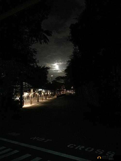 适合凌晨三四点看的片推荐
