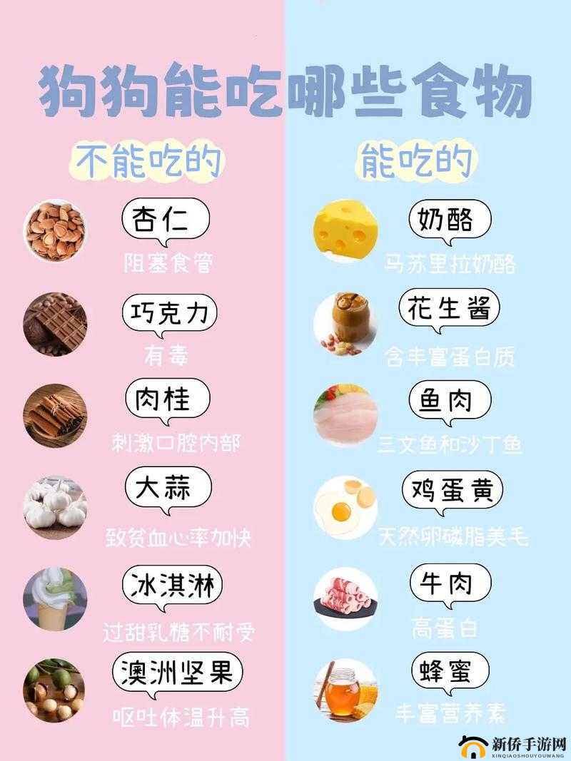 人狗胶配方大全图片及详细内容