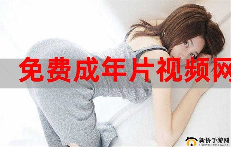 成年片免费观看网站播放器评测：优质与风险分析